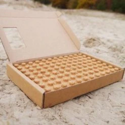 To Jungle Eco-toy Bricks Van Kurk ; Duurzaam Speelgoed -Goedkope Blokken Winkel 550x367 50