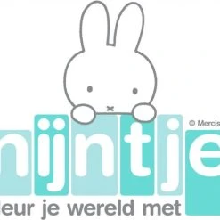 Nijntje Vormentreintje 22 X 14,5 X 18 Cm Wit -Goedkope Blokken Winkel 550x481 3