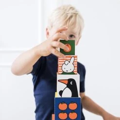 Bambolino Toys - Nijntje Stapelkubus Met 10 Blokken - Educatief Speelgoed -Goedkope Blokken Winkel 550x550 101